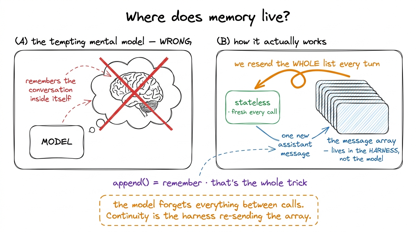 The model is stateless and forgets everything between calls. The illusion of memory is the harness re-sending the full m