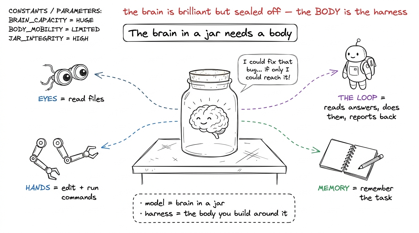 The core metaphor of the whole workshop: the model is a brilliant brain in a jar, and the harness is the body — eyes, ha